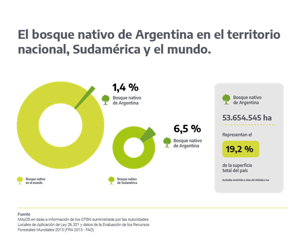 bosques nativos